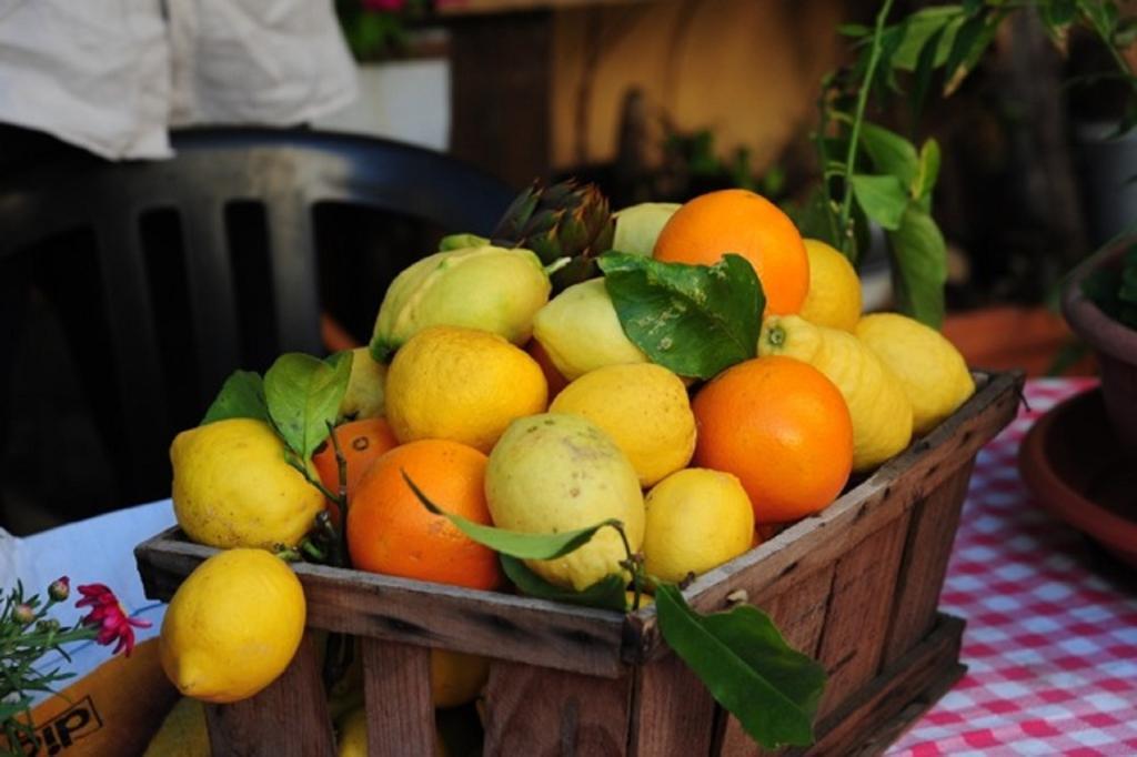 Agriturismo Del Pigato - Bio Vio Albenga Kamer foto