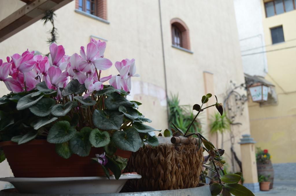 Agriturismo Del Pigato - Bio Vio Albenga Buitenkant foto
